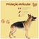 image-c4118f8599d84aef8120edc19af7a0b3