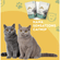 image-c27de1a97dae484d88e817a3ab258912