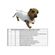image-a1ec0aed83634657a4cc26fec4162191