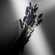 image-11eca98c0fb64c2abf1f1a40ab6712e4