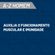 771392---Suplemento-Alimentar-Vitasay-Homem-A-Z-30-Comprimidos-3