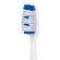 79081---escova-dental-reach-access-macia-2