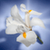 image-3ac42f94a9724055b695b2010b0a39d0