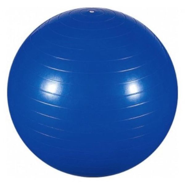 FG20 - Professional Fisioball Fisiopauher Cor: Azul Tam: 65cm