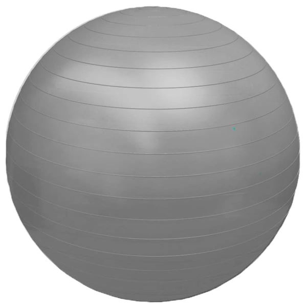 FG20 - Professional Fisioball Fisiopauher Cor: Cinza Tam: 75cm