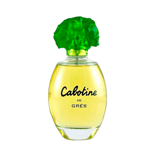 image-392e6e9318e148e9bff7a05204b825e3 image-392e6e9318e148e9bff7a05204b825e3