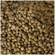 image-e1eda1027af64b55bbb64b263399505b
