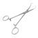 image-4fa9eea6eb7e4906b8786bddd596814b