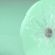 image-2e6013538aef4334aaea07ac8f82705f