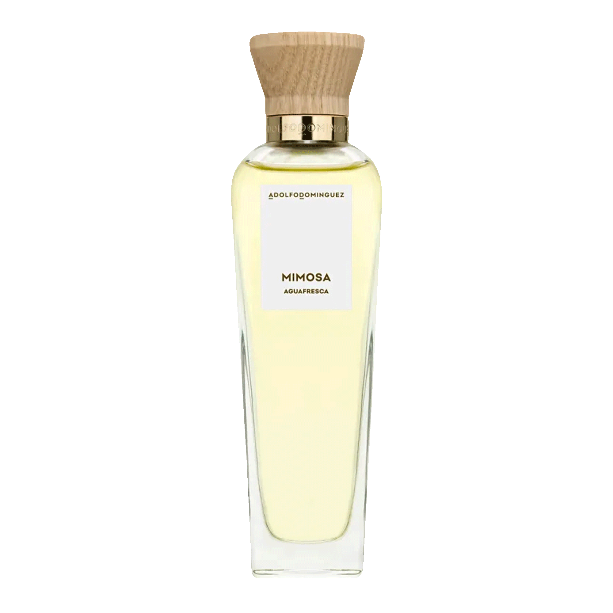 Agua Fresca De Mimosa Coriandro Eau De Toilette - Perfume Feminino 120ml